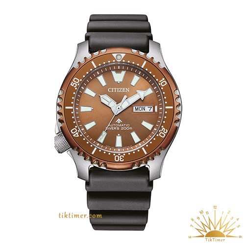 Men's Citizen Watch NY0164-65X