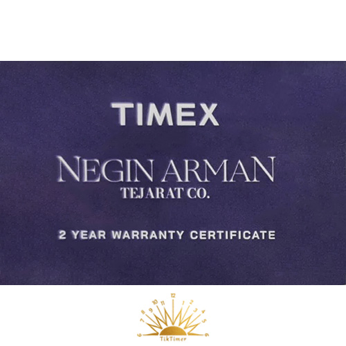 Men's Timex Watch - TW2Y45200